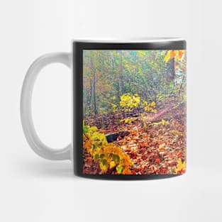 Sun Rays in the Woods Mug